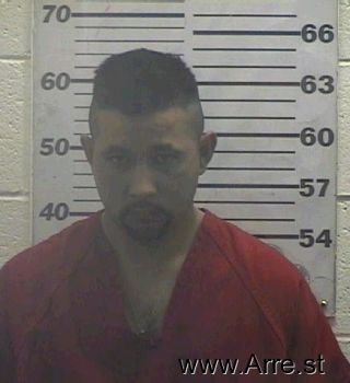 Luis  Vargas-castillo Mugshot