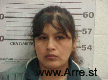 Luisa A Dominguez Mugshot