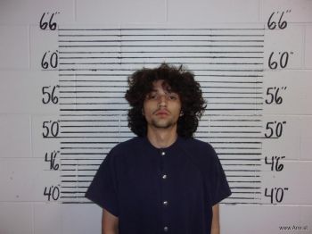 Lupe  Reyna Mugshot