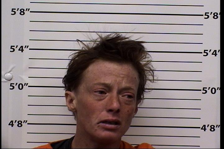 Megan Dawn Smith Mugshot