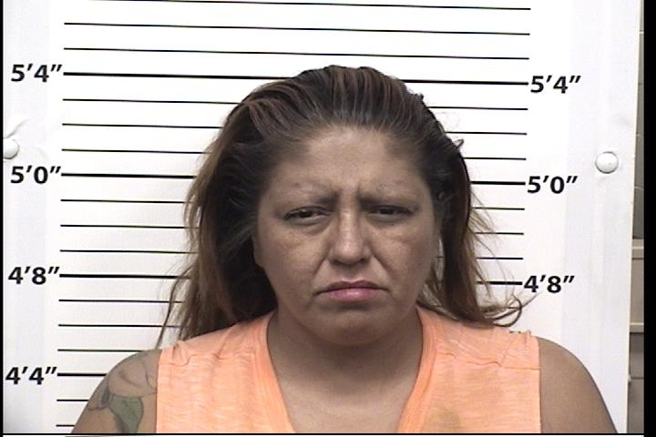 Melissa Ann Chavez Mugshot