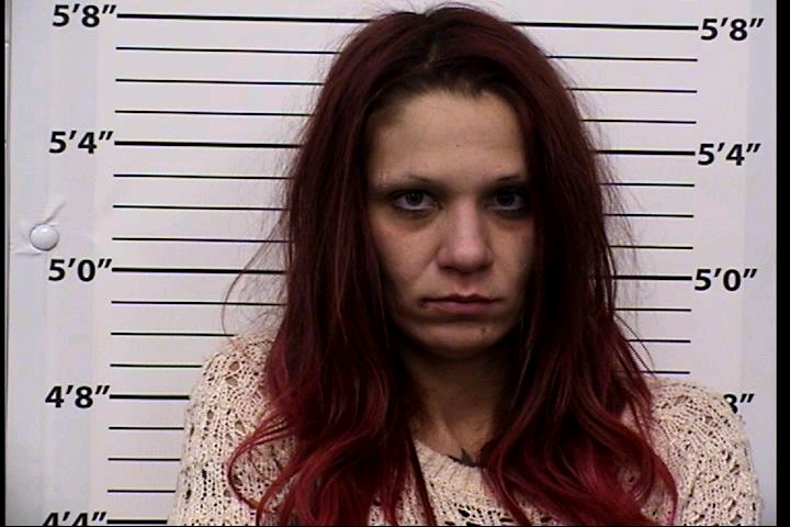 Michelle Lynn Owens Mugshot