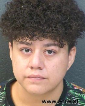 Monica G Herrera-sanchez Mugshot