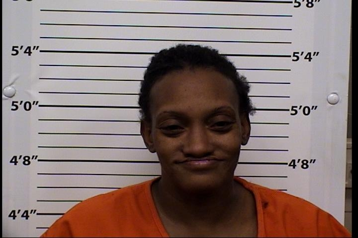 Monica Evonne Perkins Mugshot