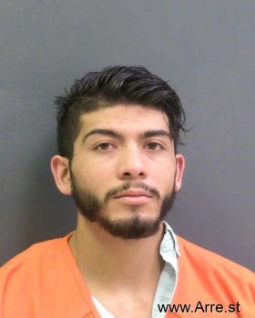 Manuel Nmn Villalobos-mendez Mugshot