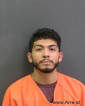 Manuel Alfonzo Villalobos-mendez Mugshot