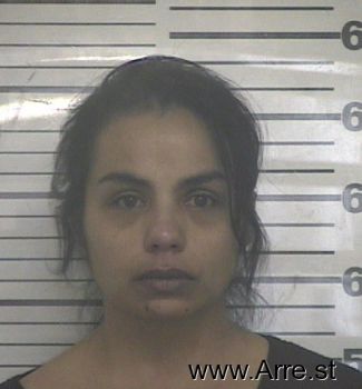 Margie  Chavez Mugshot