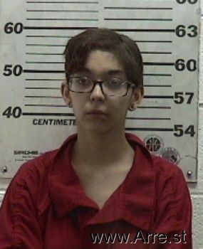 Mariah  Sanchez Mugshot