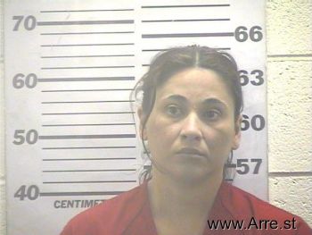 Maribel  Castillo Mugshot