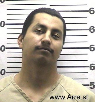 Mario  Mendoza Mugshot