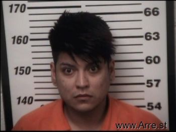 Mark V Castillo Mugshot