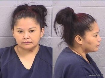 Marthleen Lynette Wauneka Mugshot