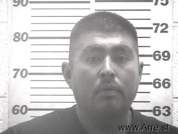 Martin D Cata Mugshot