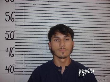 Martin  Chavez-flores Mugshot