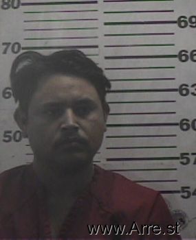 Martin  Flores Mugshot