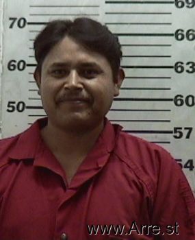 Martin  Flores Mugshot