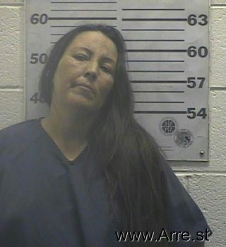 Melissa  Combs Mugshot