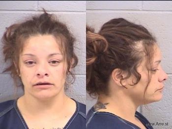 Melissa Dawn Gibson Mugshot