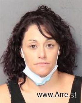 Melissa Ann Hollis Mugshot