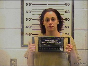 Melissa Ann Hollis Mugshot