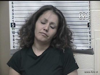 Melissa Ann Montenegro Mugshot