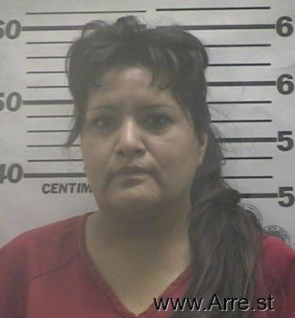 Melissa  Tsosie Mugshot