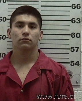 Michael  Torres Mugshot