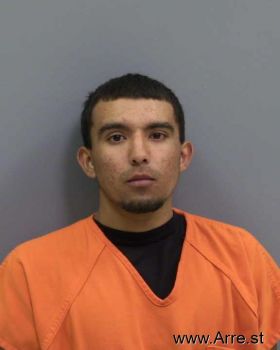 Micheal  Martinez Mugshot