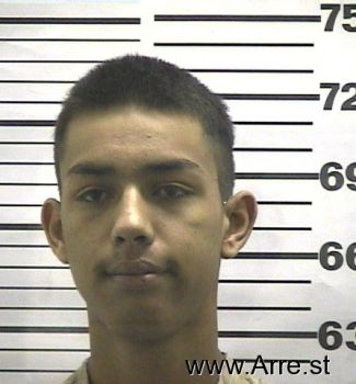 Micheal  Martinez Mugshot