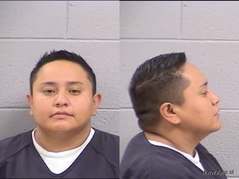 Michelle Dazha Arellano Mugshot