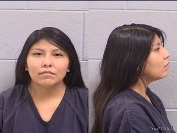 Michelle Ida Cowboy Mugshot