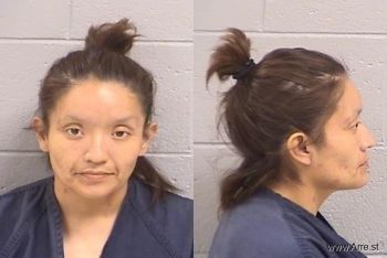 Michelle Lana Hardy Mugshot