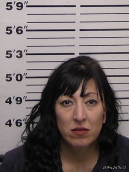 Michelle Sheri Hernandez Mugshot