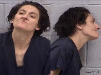 Michelle Stacey Smith Mugshot