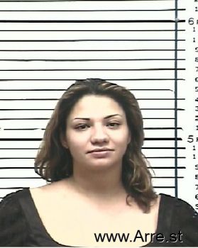 Michelle Ann Vasquez Mugshot