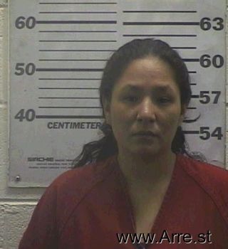 Michelle  Wilson Mugshot