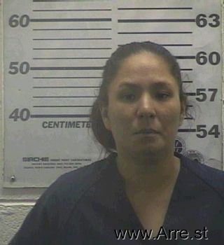 Michelle  Wilson Mugshot