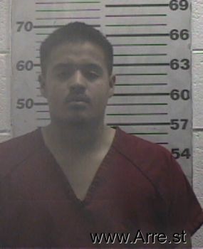 Miguel  Flores Mugshot