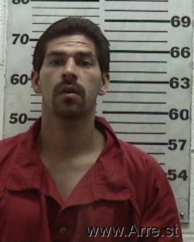 Mike M Gonzales Mugshot