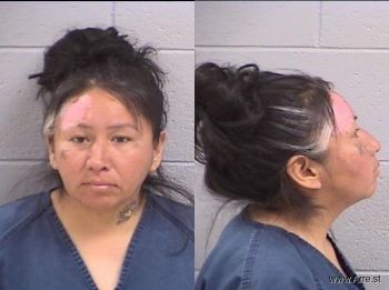 Misty Sunshine Cheater Mugshot