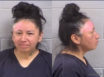 Misty Sunshine Cheater Mugshot