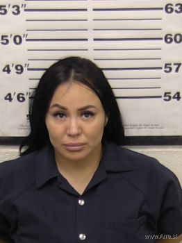 Monica  Castillo Mugshot