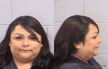 Monica Stephanie Sanchez Mugshot