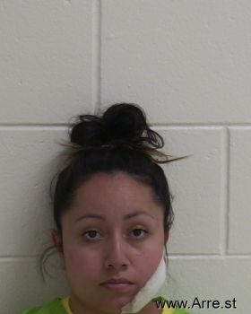 Nancy Nmn Ramos Mugshot