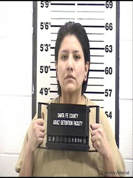 Natasha Allison Long Mugshot