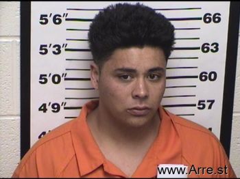 Nicholas  Martinez Mugshot