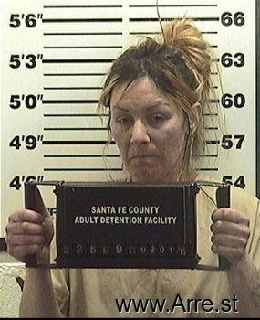 Nicole Vinge Holt Mugshot