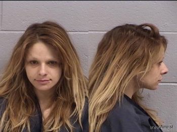 Nicole T Scheer Mugshot