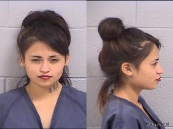 Nicole Amber Williams Mugshot