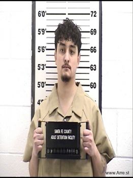 Nikko Sabastian Roessler Mugshot